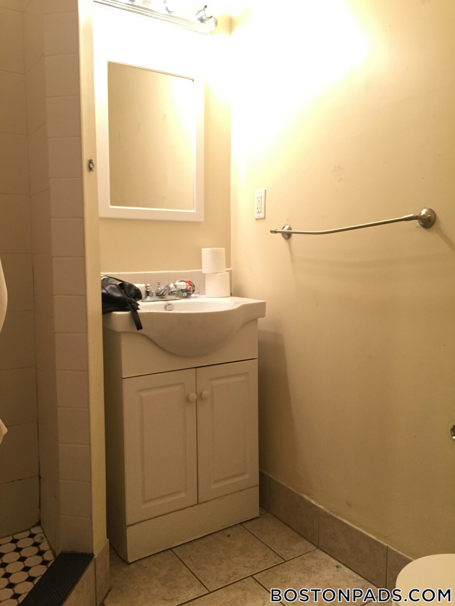 Building Photo - 209 Chestnut Hill Ave