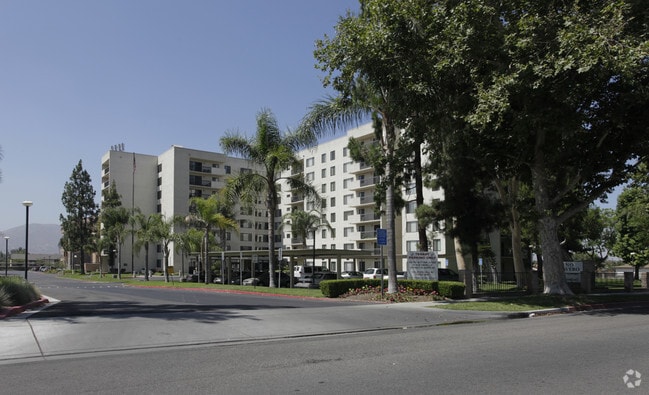Primary Photo - Dino Papavero Senior Centre Apartments