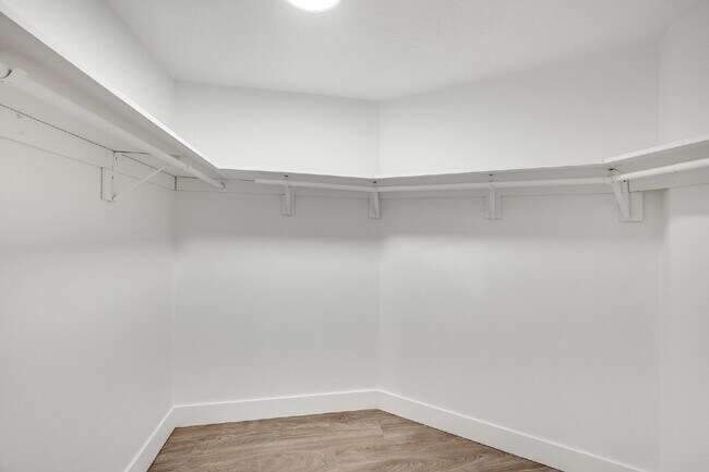 Building Photo - 4 bedroom, 2 bathroom Beachside, Pool Home!