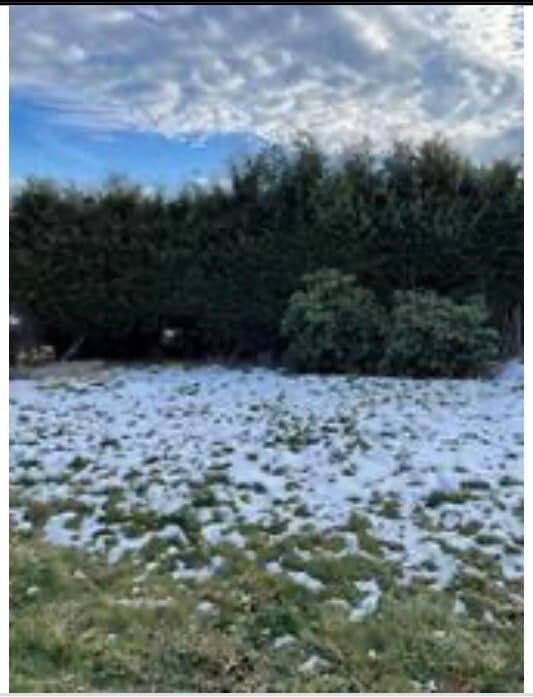 Building Photo - 42 Miriam St