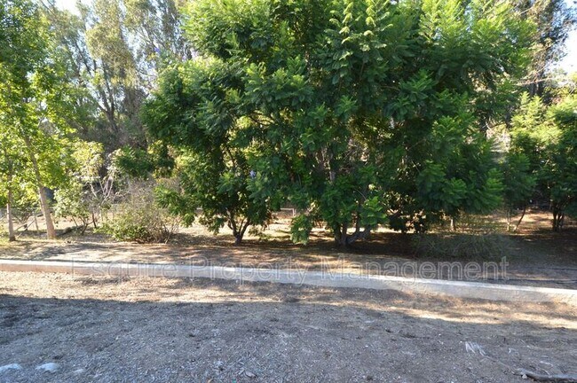 Building Photo - 31 Alviso Dr