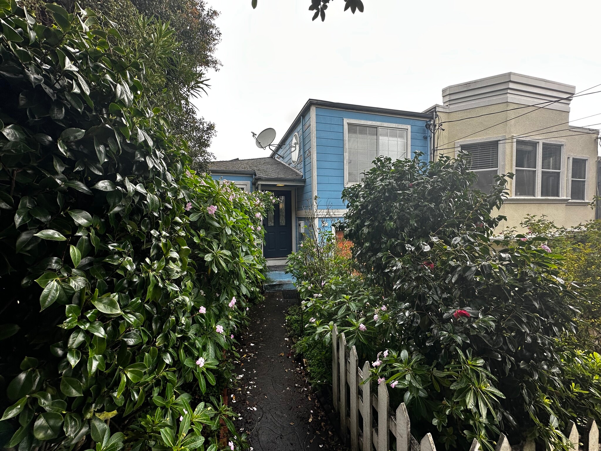 Building Photo - 19 Miramar Ave