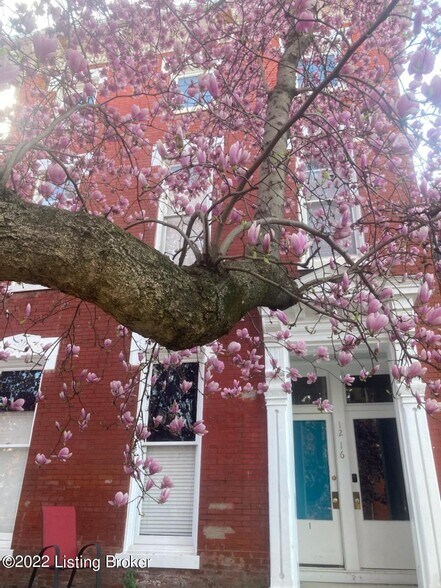 May flowers - 1216 S 1st St