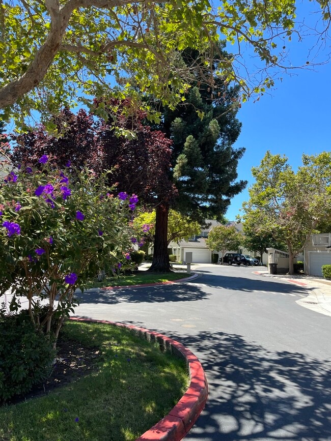 Building Photo - 185 Easy St