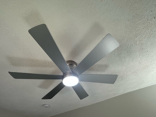 Building Photo - 211 Gertrude St