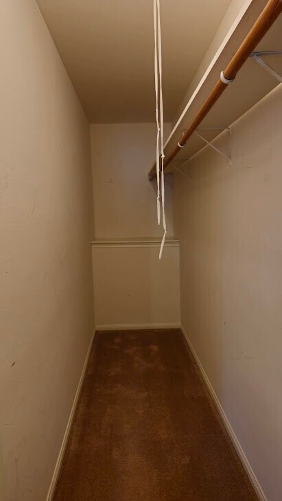 Building Photo - 4415 Donna Bell Ln