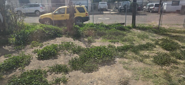 Building Photo - 315 W Palma St