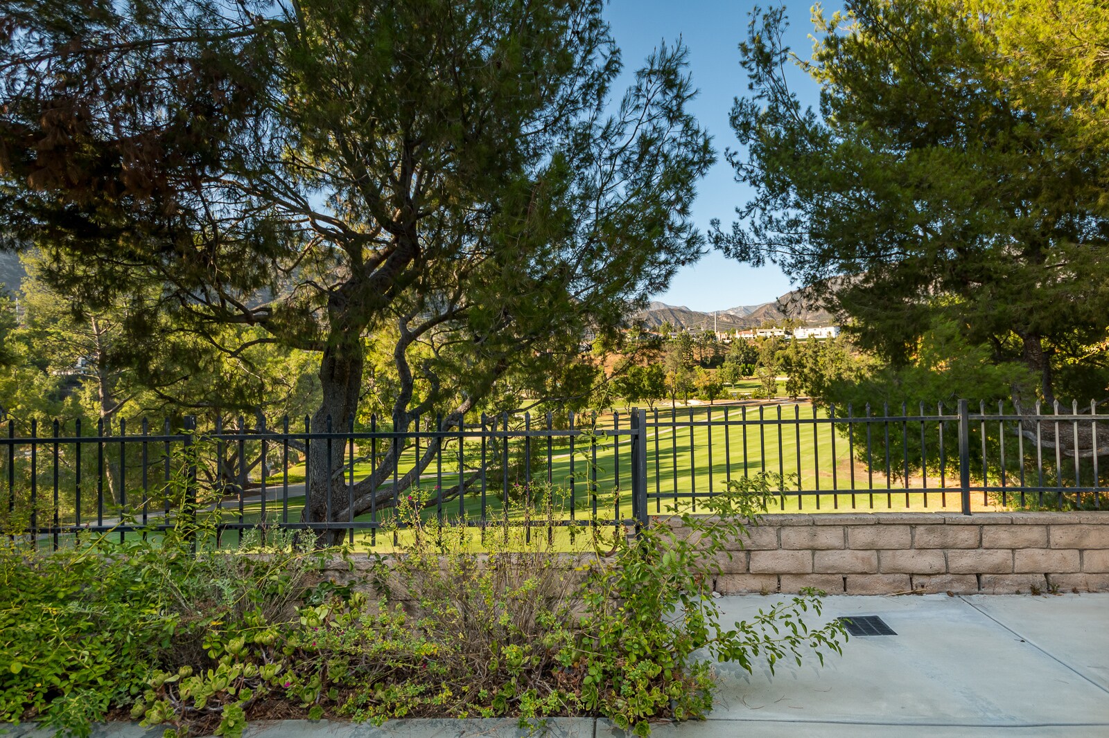 Building Photo - 783 Starlight Heights Dr