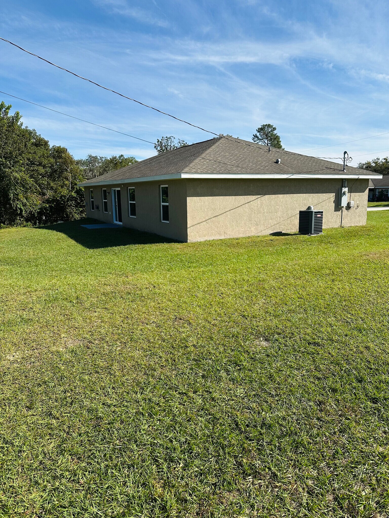 Back Yard - 2 Olive Dr