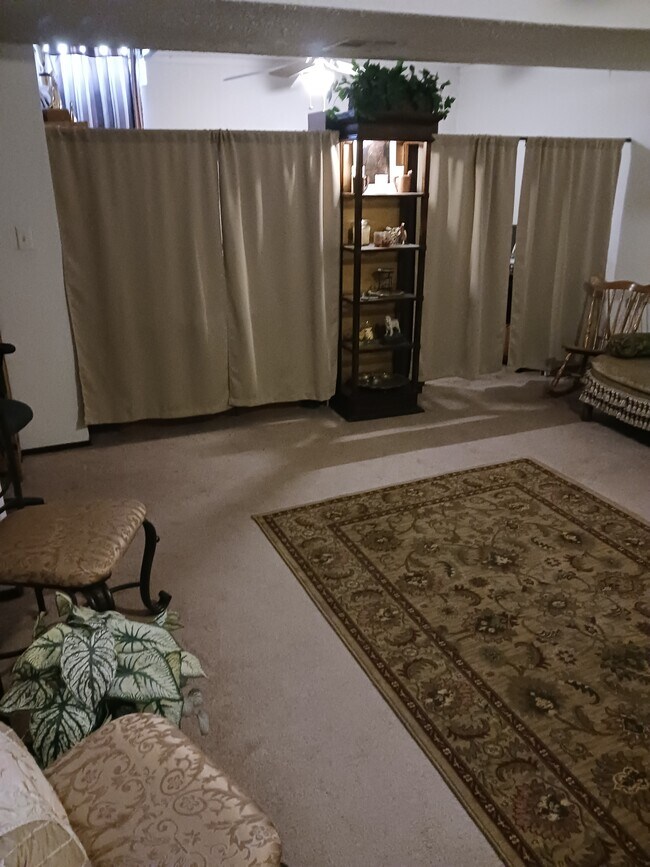 Basement Living Rm - 1615 N Arrowhead Dr