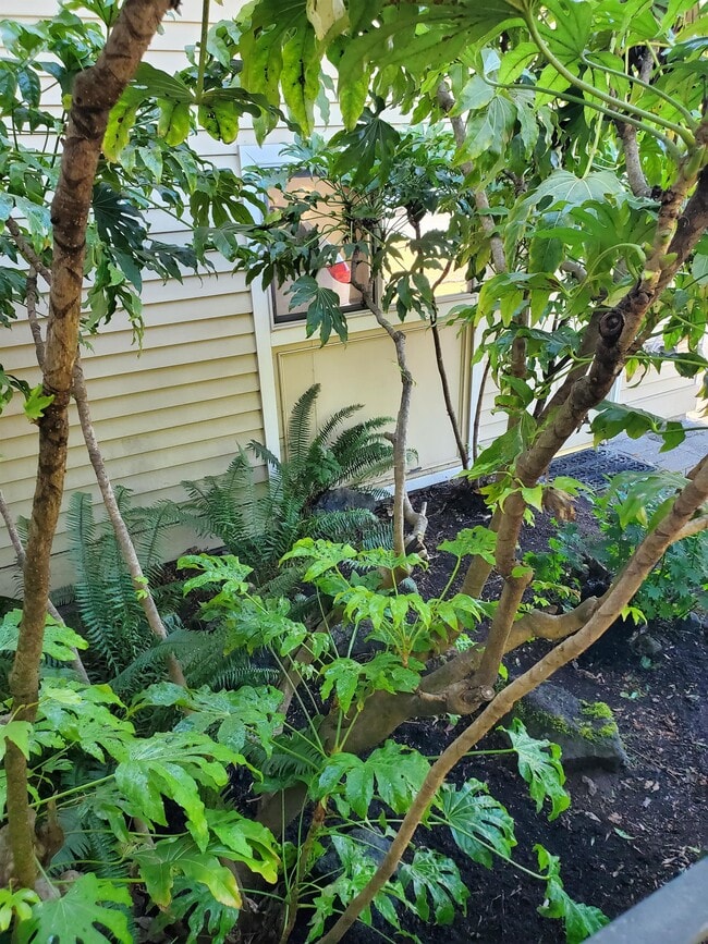 Building Photo - 15739 SE 175th Pl