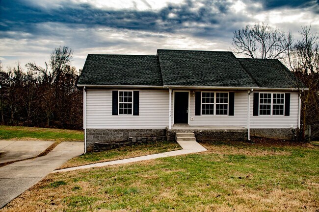 Primary Photo - 3 Bedroom Pet Friendly Home For Rent In St...