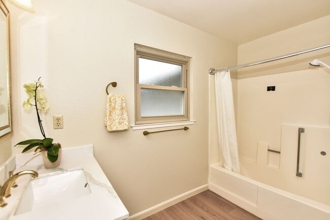 Building Photo - 498 Nut Tree Ct