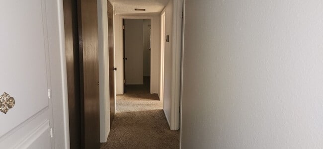 Building Photo - 8118002/37