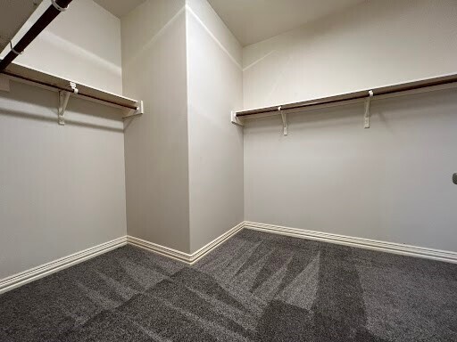 Building Photo - 3518 Ellies Ln