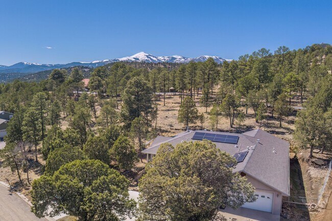 Building Photo - 111 Coker Ln