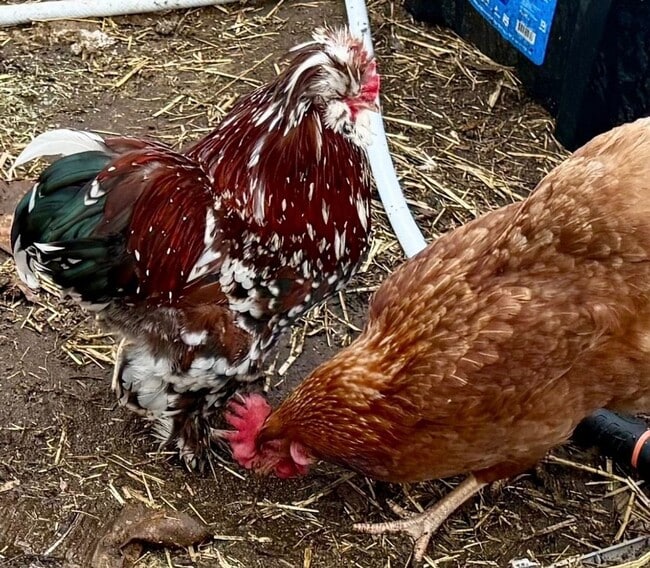 Building Photo - 33244 Churchill St