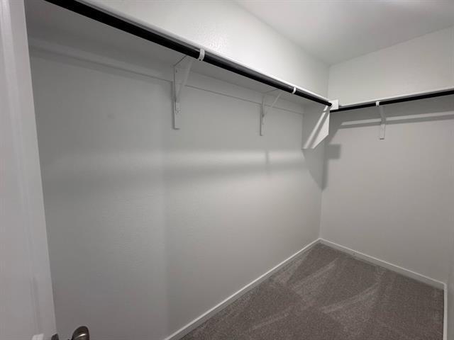 Building Photo - 1156 Barbary Flds St