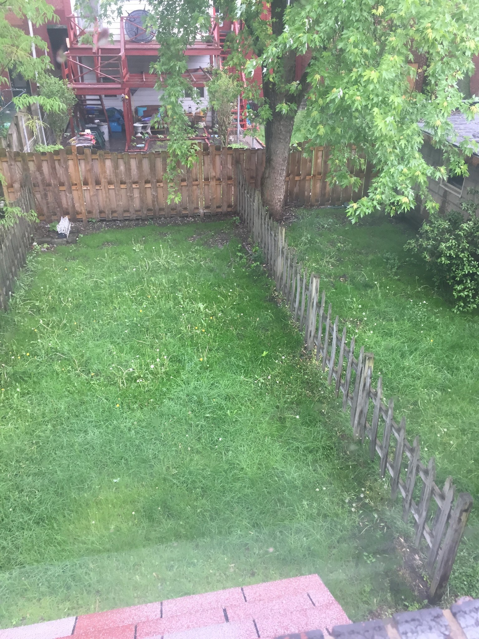 Back yard - 1805 Middle St