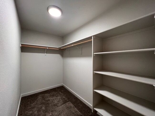 Building Photo - Comfort and Luxury Single Family Home