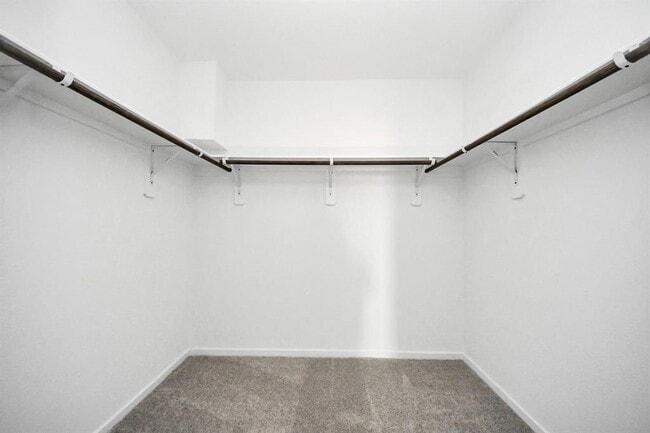 Building Photo - 26903 Yellow Corydalis Dr