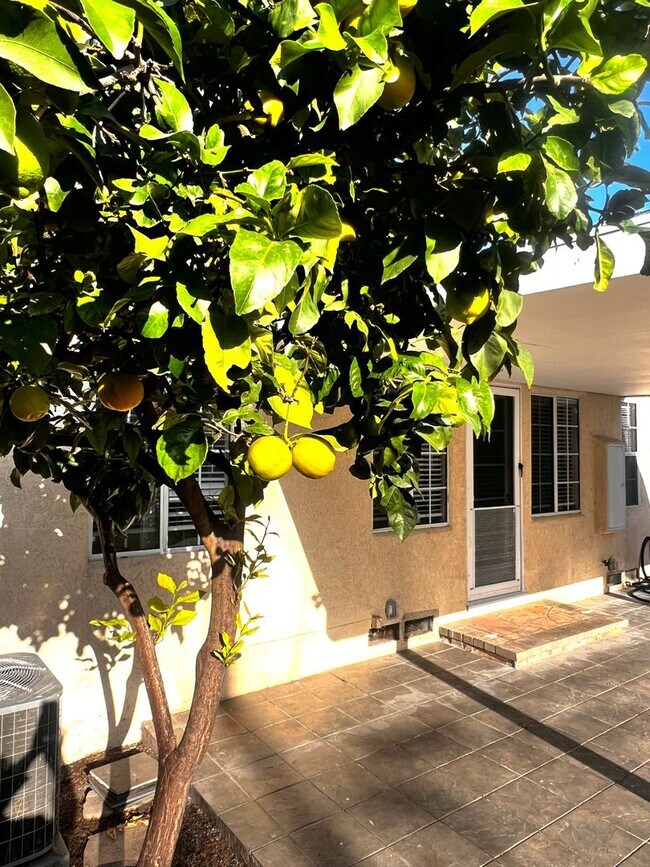 Building Photo - Single Family. 3-bed Home - Desireable Neighborhood!