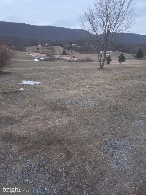 Building Photo - 533 Reisinger Rd