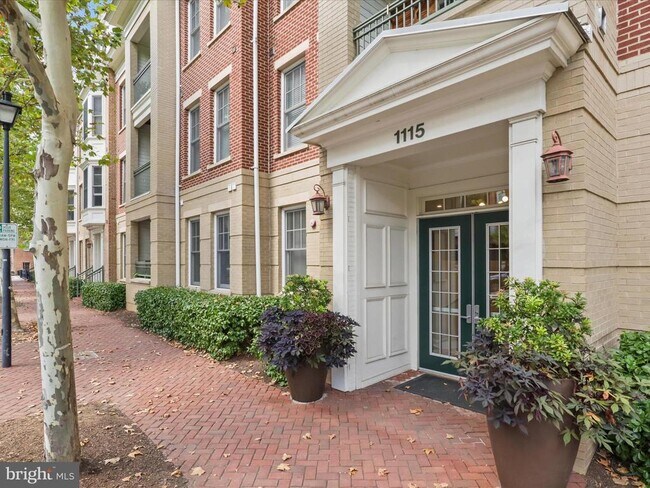 Building Photo - 1115 Cameron St