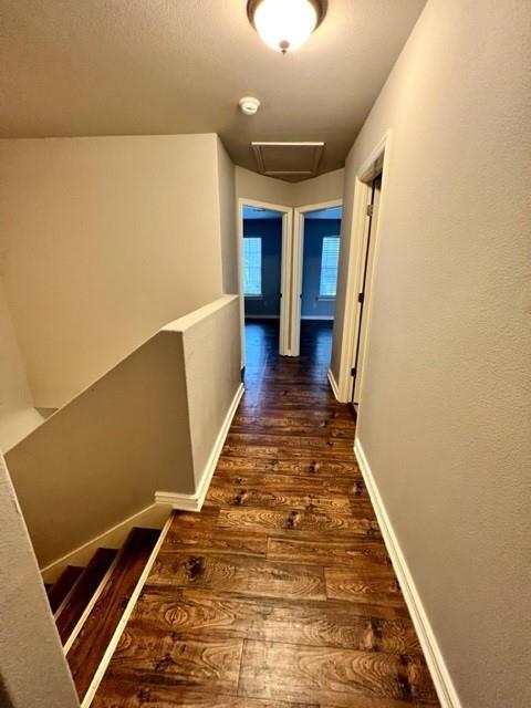 Building Photo - 12292 Rambling Rose Wy