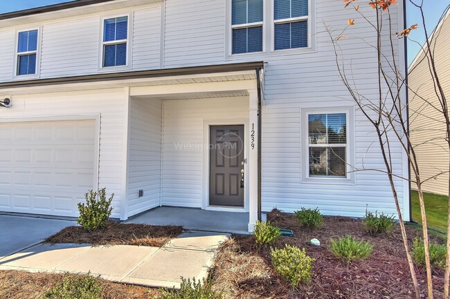 Building Photo - Beautiful NEW Construction 3bd 2.5bath Hom...