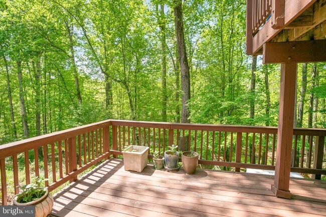 Building Photo - 11434 Cedar Ridge Dr