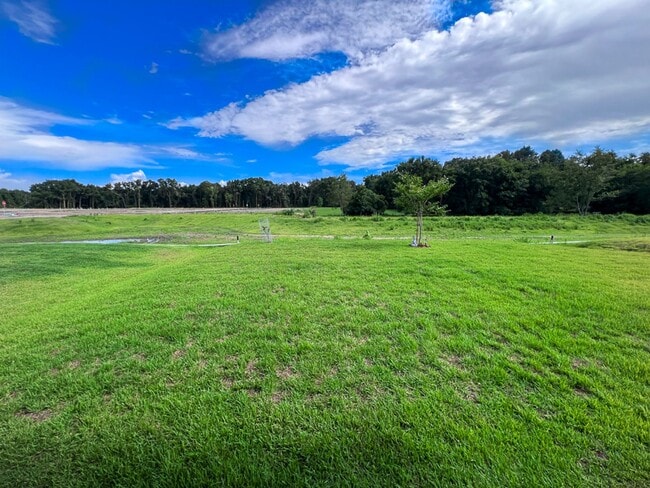 Building Photo - Immaculate 4BR/2BA New Construction Home i...