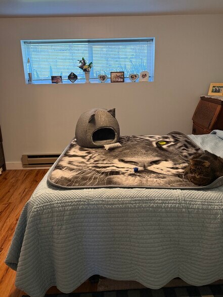 Bedroom - 2832 W Mercer Way