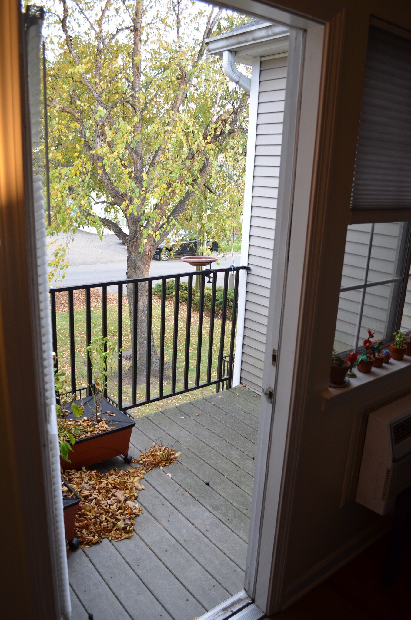 Building Photo - 50 Myano Ln