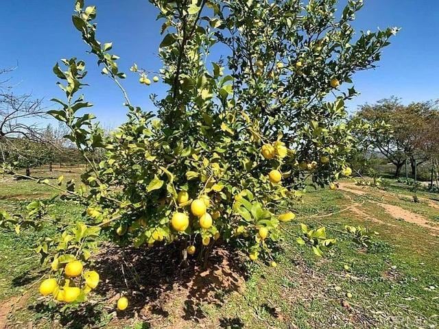 Building Photo - 2090 Quail Meadow Rd