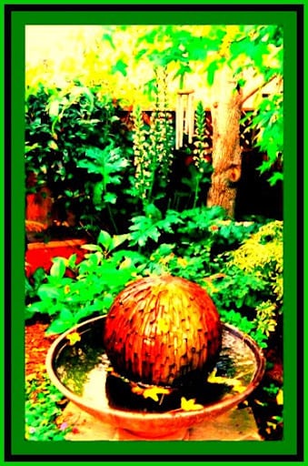 Fountain - 137 4th St