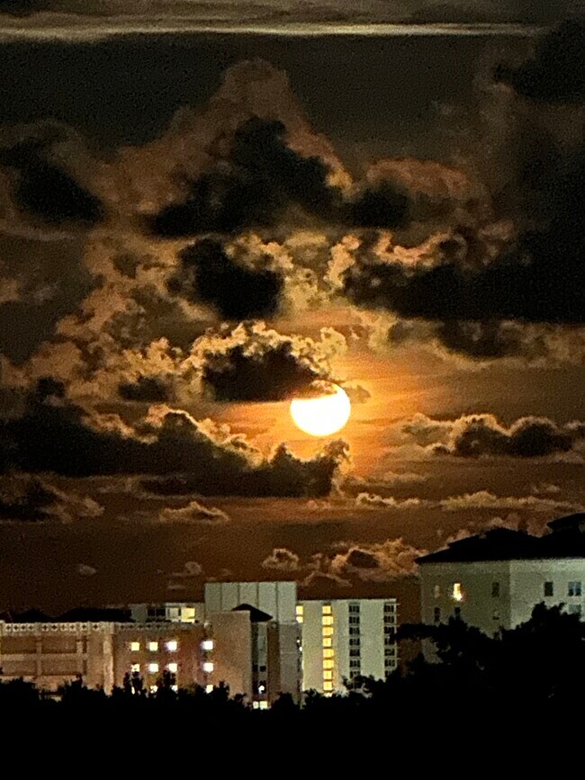 Building Photo - 99 SE Mizner Blvd