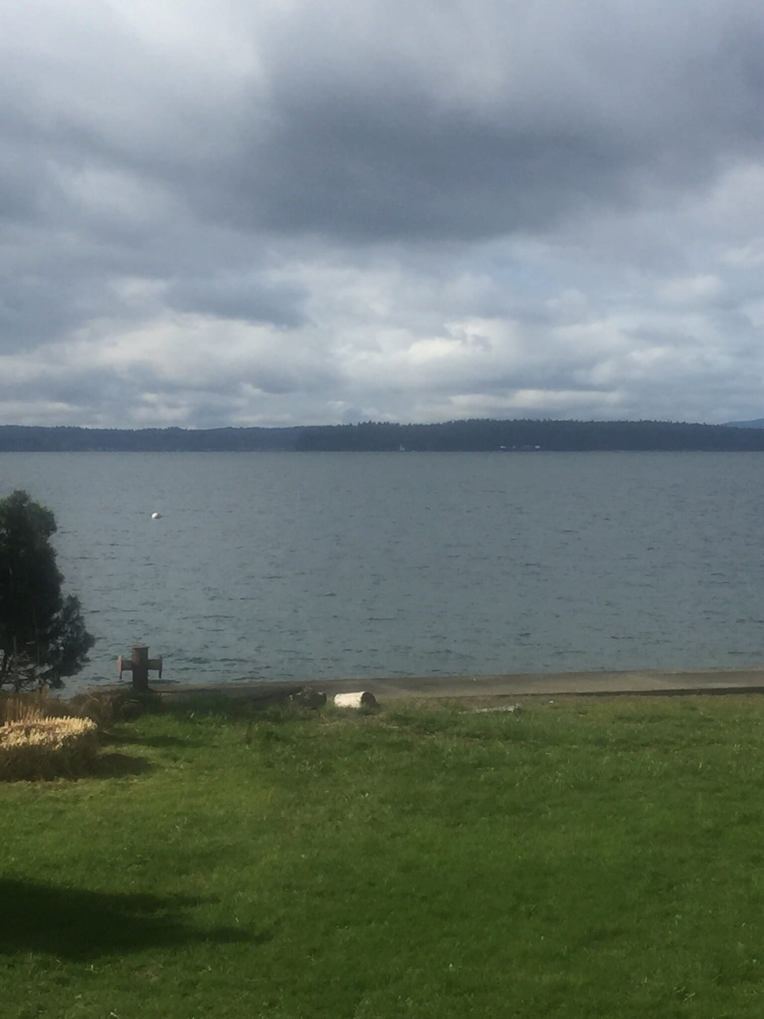 Waterfront Access - 6537 Beach Dr SW