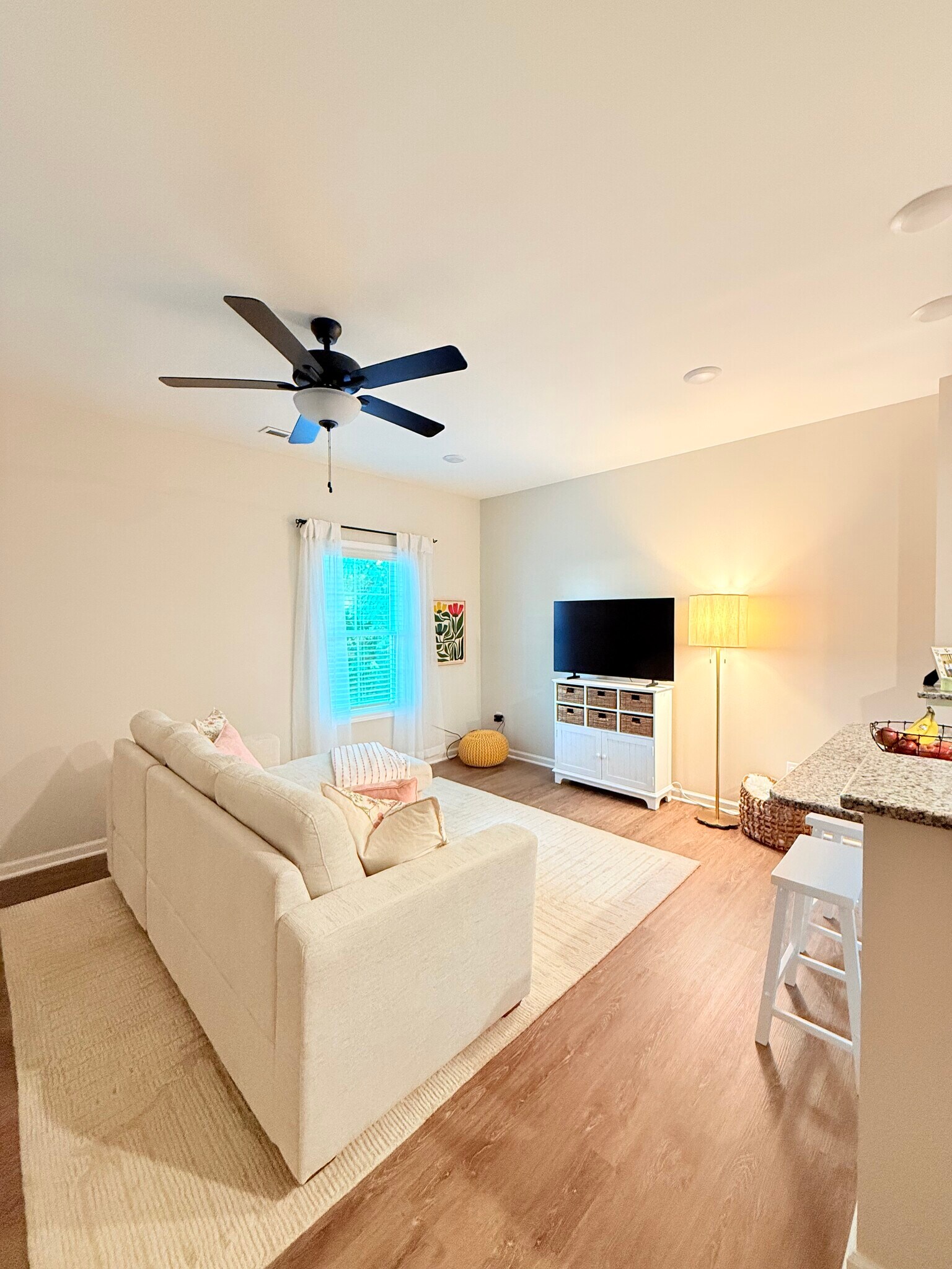 Living Room - 205 Cherry Way