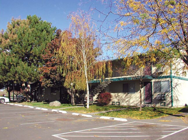Primary Photo - Meadow Park