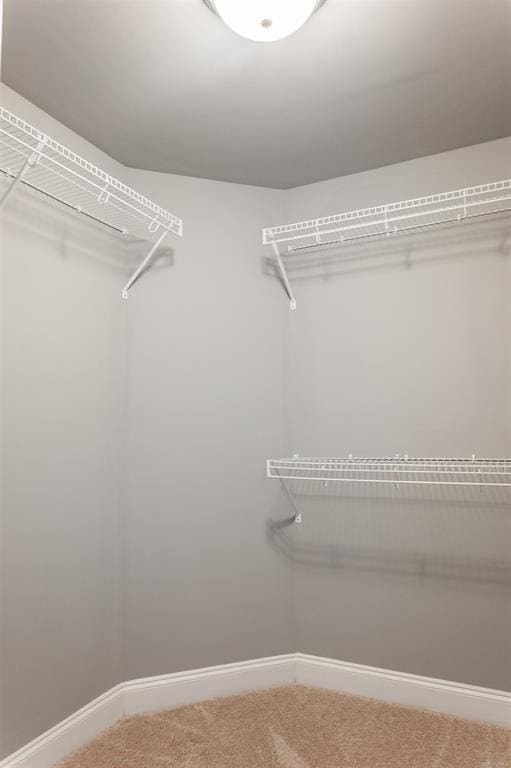 Building Photo - 1133 Benjamin Wy