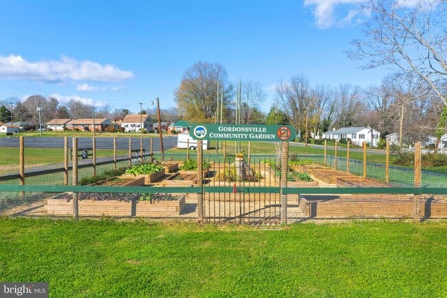 Building Photo - 11244 Blue Ridge Ct