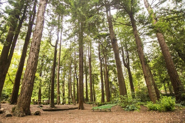 Stern Grove Park - 747 Head St