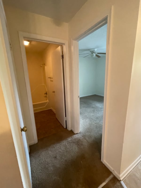 Building Photo - 2000 Swaim Ridge Ln