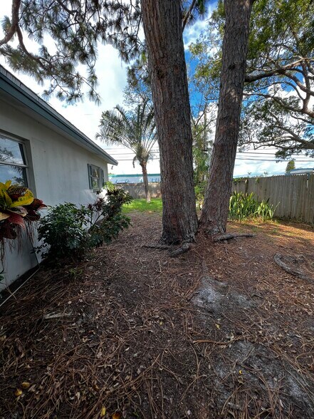 Building Photo - 254 Plumosa Dr