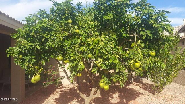 Building Photo - 3691 N 153rd Ln