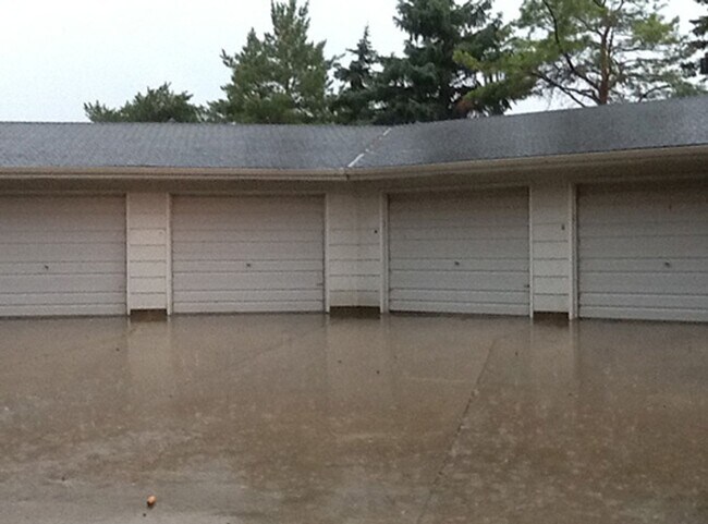 Building Photo - 313 4th St NW