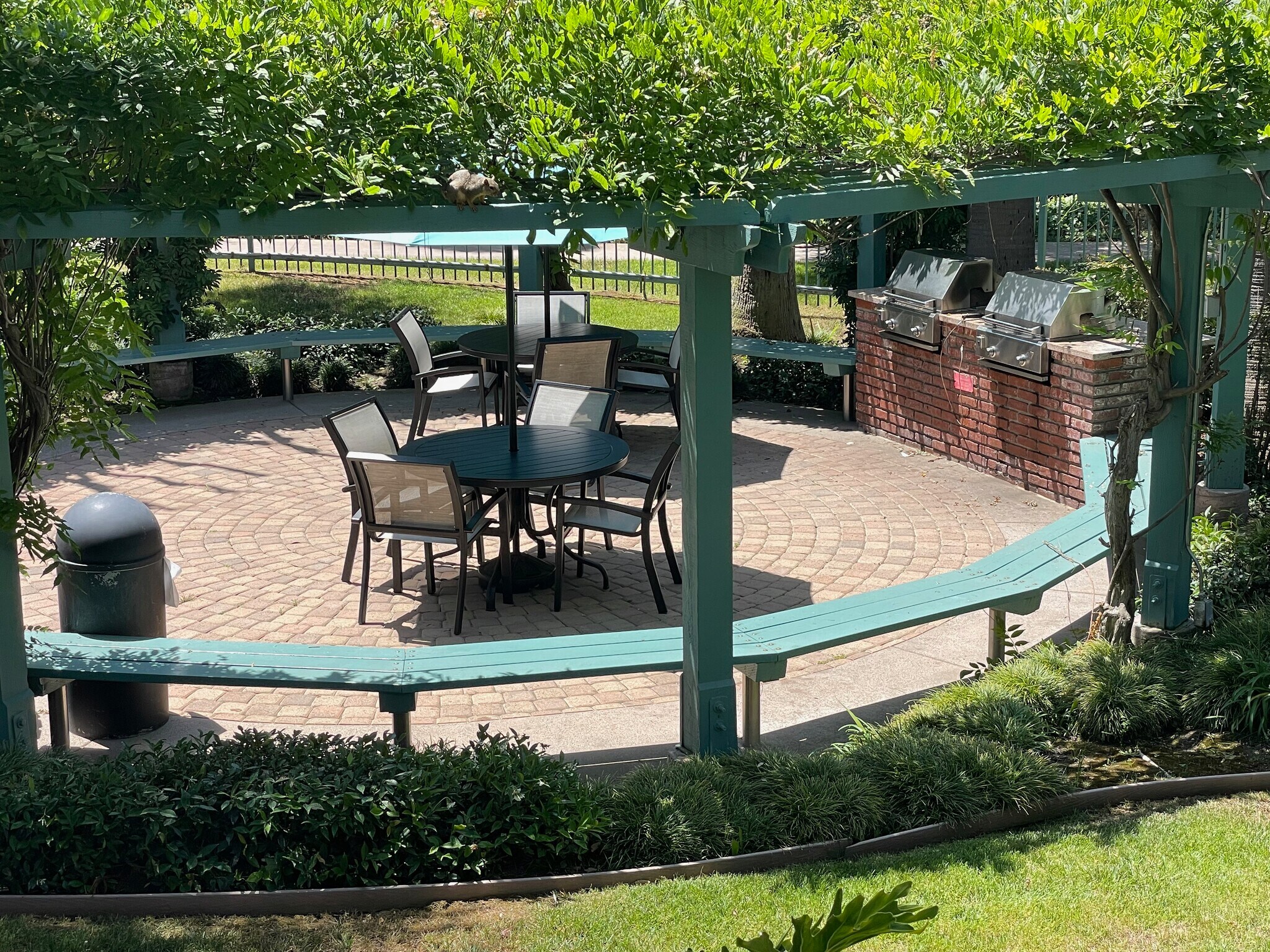 Poolside bbq grills - 576 N Bellflower Blvd
