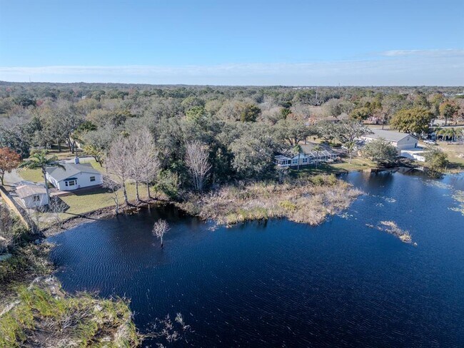Building Photo - 11416 Pine Forest Dr