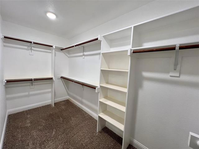Building Photo - 4010 Bridle Path Ln